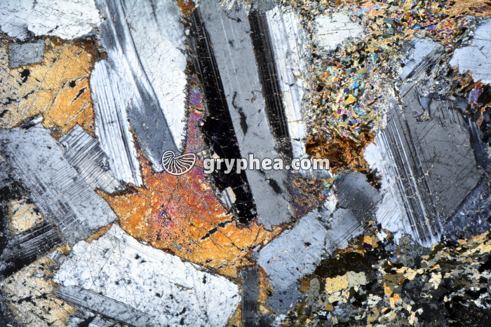 Métagabbro à Hornblende LPA x3,5 - gryphea.org